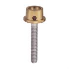 ERA Direct Overdenture, Large diameter post complete 17°